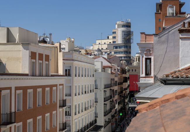 Apartamento en Madrid - M (PRE5B) Ático Terraza Puerta del Sol