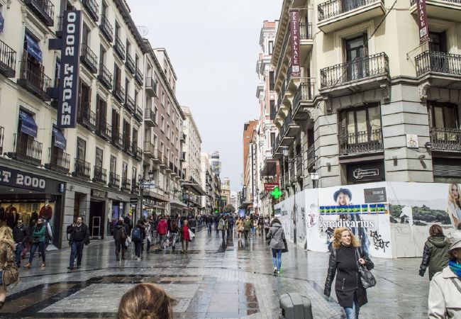 Apartamento en Madrid - M (PRE5B) Ático Terraza Puerta del Sol