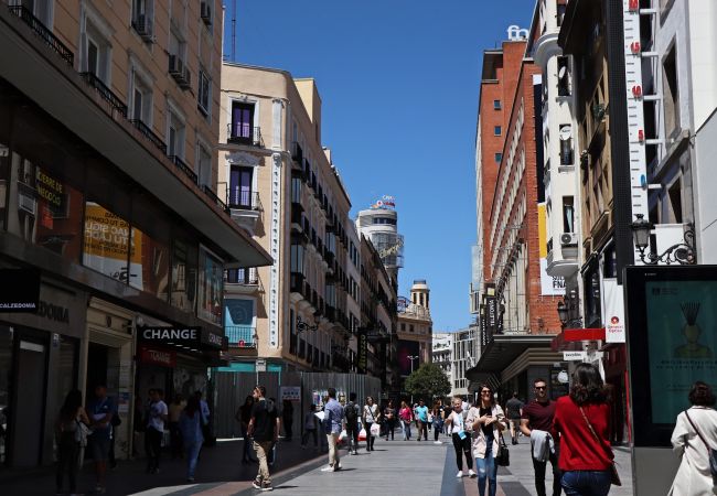 Apartamento en Madrid - M (PRE5B) Ático Terraza Puerta del Sol