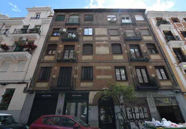 Apartamento en Madrid - M (DF21) Ático en el Museo Reina Sofía - Atocha