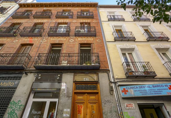 Apartamento en Madrid - M (BRC42) Ap. Chueca-Malasaña Madrid centro