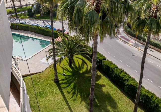 Apartamento en Benicàssim - A (VA054) TH Playa Almadraba