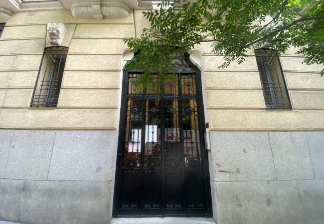 Apartamento en Madrid - M (CAR19) Apartamento Almagro-Bilbao