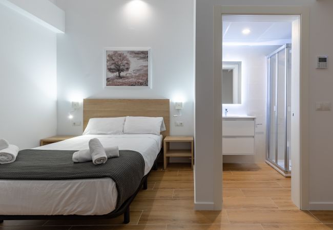 Apartamento en Valencia - A (VA063.2) TH Alameda suites loft 7