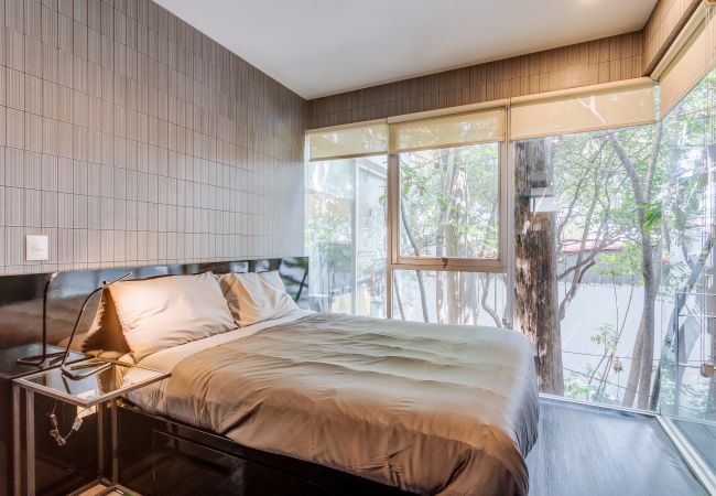 Apartamento en Ciudad de México - MX (TLC30) Apartamento Roma Sur