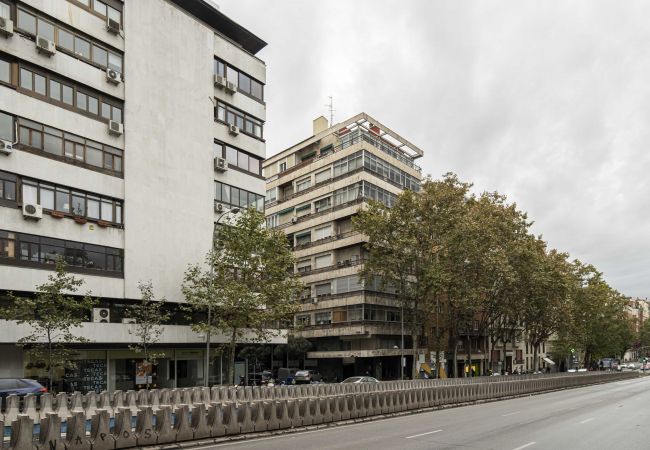 Apartamento en Madrid - M (MDM32) Apartamento Centro Negocios Castellana
