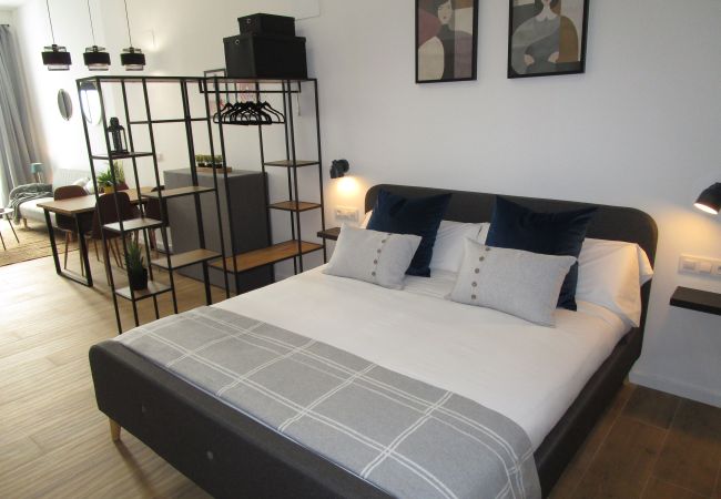 Apartamento en Valencia - A (VA073) TH Sant Isidre Suite