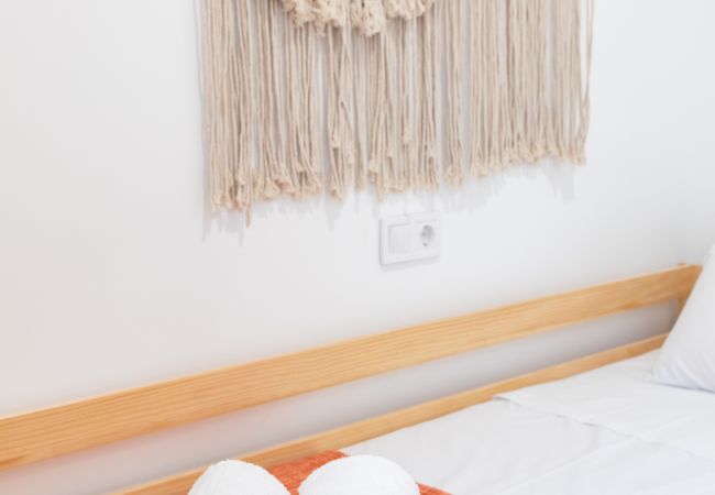 Apartamento en Valencia - A (VA074) TH Zaidia con Terraza