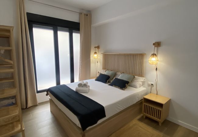 Apartamento en Valencia - A (VA079-4) TH Bioparc con Terraza Apartment D