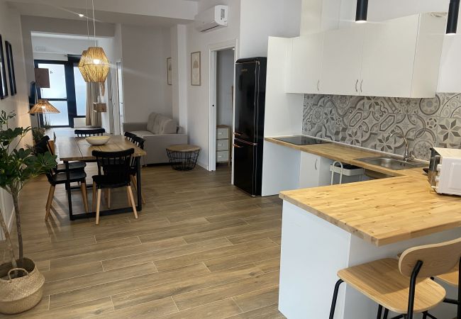 Apartamento en Valencia - A (VA079-4) TH Bioparc con Terraza Apartment D
