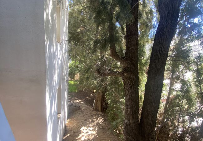 Apartamento en Benicàssim - A (VA034) TH Benicassim C 7p/4h