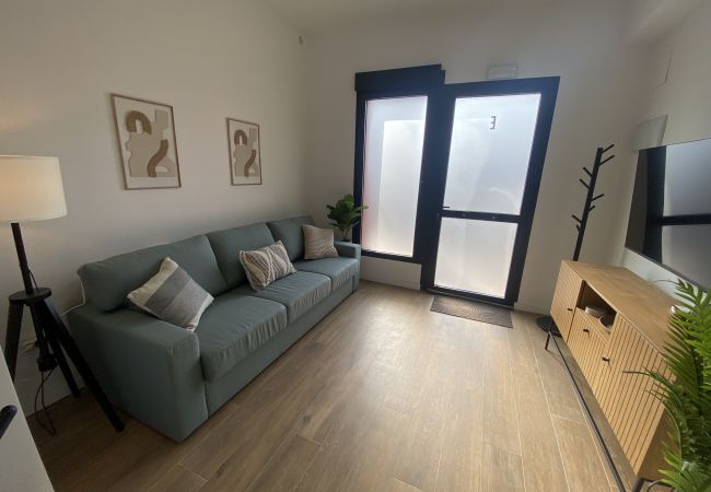 Apartamento en Valencia - A (VA077-1) TH Bioparc con Terraza Apartment A