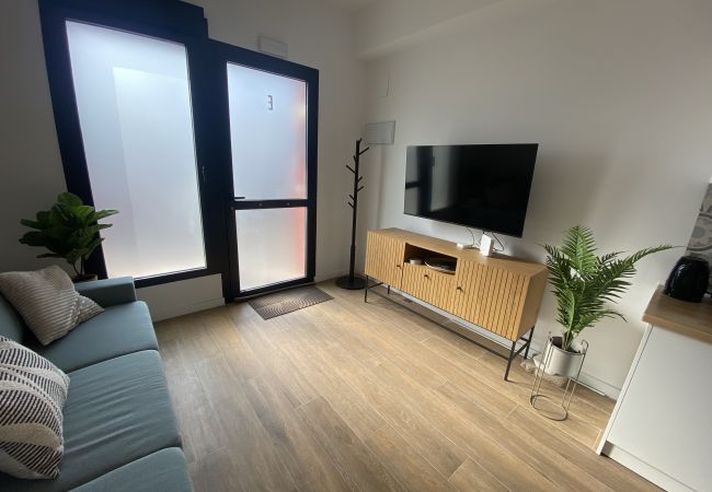 Apartamento en Valencia - A (VA077-1) TH Bioparc con Terraza Apartment A