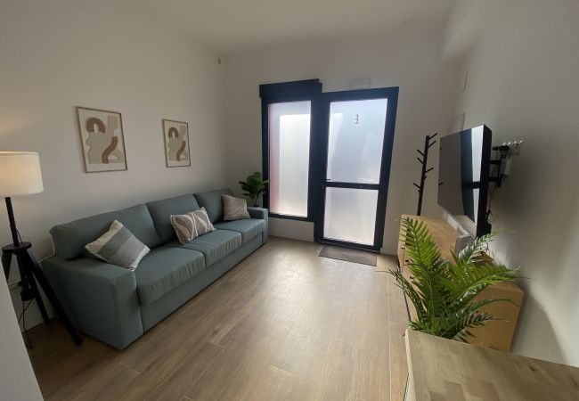 Apartamento en Valencia - A (VA077-1) TH Bioparc con Terraza Apartment A